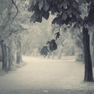 ⭐黄⭐色⭐视⭐频⭐
